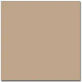 Colorama Tausta Cappucino 1,35x11m