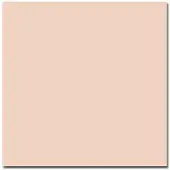 Colorama Tausta Oyster 1,35x11m