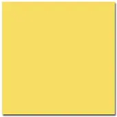 Colorama Tausta Dandelion 2,72 x 11m