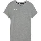 Puma Toiminnallinen paita 'TeamGOAL' harmaa / valkoinen