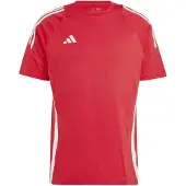 Adidas Tiro24 Sweat Lyhythihainen T-paita