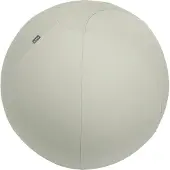 Leitz Ergo, aktiivipallo lisäpainolla, 75cm, vaaleaharmaa