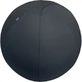 Leitz Ergo, aktiivipallo lisäpainolla, 75cm, tummanharmaa