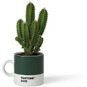 Copenhagen Espresso Cup. Dark Green 3435
