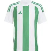 Adidas Pelipaita Striped 24 - Valkoinen/Vihreä Lapset, koko 152 cm