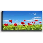Hobby Hall Taulu Kuut, 30x80 cm