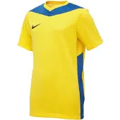 Nike Pelipaita Dri-fit Park Derby Iv - Keltainen/sininen/musta Lapset, koko M: 137-147 cm