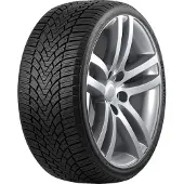 Roadmarch WINTERXPRO 888 225/40R19 93V XL
