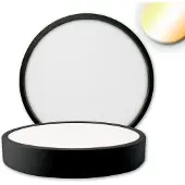 ISOLED Pro LED-kattovalaisin 24W 2700/3000/4000K 22,5cm IP42 musta himmennettävä