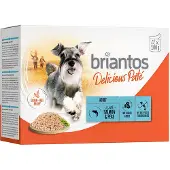 Briantos 48x100g Delicious Paté lohi koiran märkäruoka