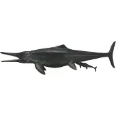 Collecta Figurine Collecta Dinosaur Temnodontosaurus