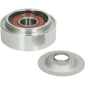 DAYCO Ohjainrulla, moniurahihna APV2399