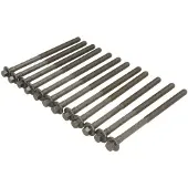 ELRING Sylinterinkannen pultti - Volvo - V70, V60, Xc60, V40, Xc70, V50, S60, S80, S40, C30, C70