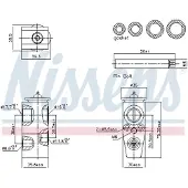 Nissens Paisuntaventtiili - Ford - Focus, Transit, Kuga, C-max, Grand