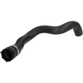 THERMOTEC Jäähdyttimen letku DWX254TT