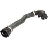 THERMOTEC Jäähdyttimen letku DWB059TT oikea