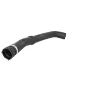 THERMOTEC Jäähdyttimen letku SI-DA11