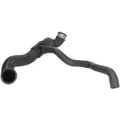 THERMOTEC Jäähdyttimen letku DWM069TT