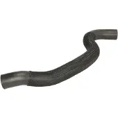 THERMOTEC Jäähdyttimen letku DW1013TT