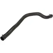 THERMOTEC Jäähdyttimen letku DWV004TT