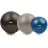 Toorx Gymball PRO ABS 65 cm.