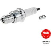 Ngk Sytytystulppa - BR10EG (3830)