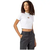 Dickies Maple Valley Lyhythihainen Paita
