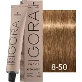 Schwarzkopf Professional IGORA Royal Absolutes hiusväri sävy 8-50 Light Blonde Gold Natural 60 ml