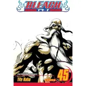 Kubo, Tite Bleach, Vol. 45