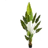 Lykke Tekokasvi Bird Of Paradise 200cm