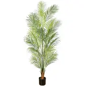 Lykke Arekapalmu 150 cm,