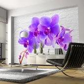Artgeist Violet Excitation fototapetti