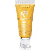 Danessa Myricks Beauty Colorfix Matte Luomiväri 10 ml Lemonade