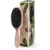 Fan Palm Medium Blush Brush