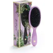 Fan Palm Medium Butterfly Brush