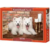 Castorland Samoyed Puppies Say Hello 1000p palapeli
