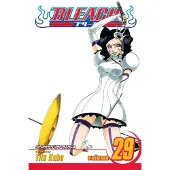 Kubo, Tite Bleach, Vol. 29