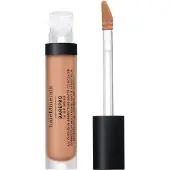 bareMinerals BarePro All Over Skin Perfecting Conceal, 255 Light Neutral