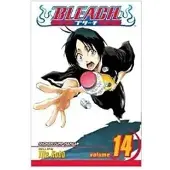 Tite Kubo Bleach, Vol. 14