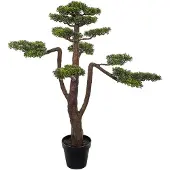 Mr Plant , Bonsai Puu 125 cm