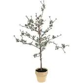 Mr Plant , Lehtikuusi 100 cm
