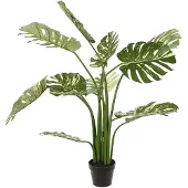 Mr Plant , Monstera 110 cm