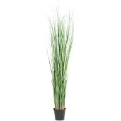 Mr Plant Ruoho 130 cm