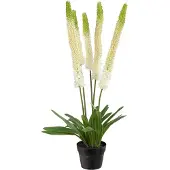 Mr Plant Aroliilia Huonekasvi 95 cm Valkoinen