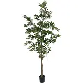 Mr Plant Benjamin Viikuna 240 cm