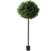 Mr Plant Lagerlaakeripuu 220 cm