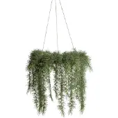 Mr Plant , Riippuva joulukranssi
