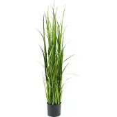Mr Plant , Ruoho 135 cm