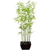 Mr Plant , Bambu 160 cm