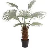 Mr Plant , Palmu 150 cm